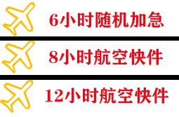 阿里普兰机场邮寄快递公司,专业空运当天件